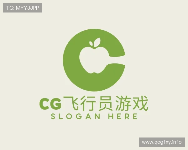 介绍CG飞行员游戏